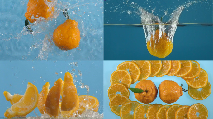 水果橘子丑柑不知火