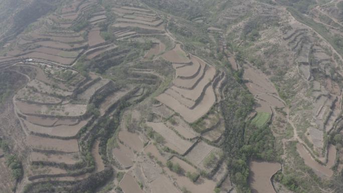 航拍山区梯田