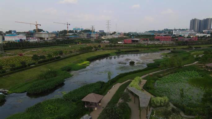 广西南宁兴宁区那考河湿地公园航拍4K