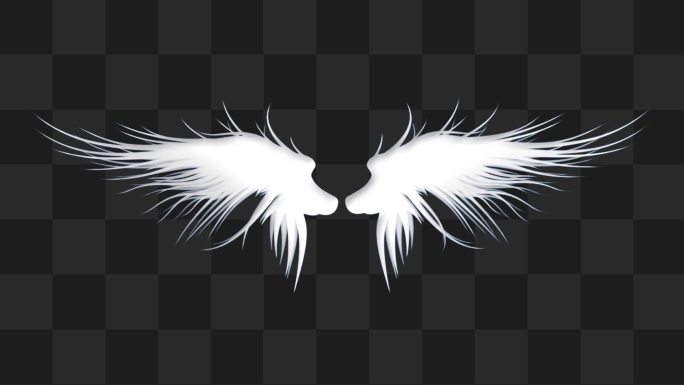 天使翅膀1号-alpha通道