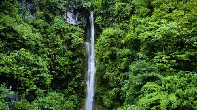 4k航拍绿色森林树林瀑布