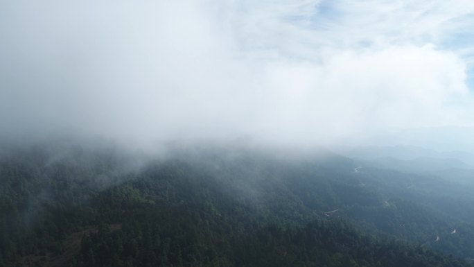 云雾山林4K超高清航拍
