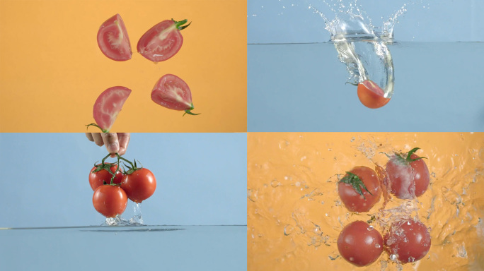 水果番茄西红柿棚拍