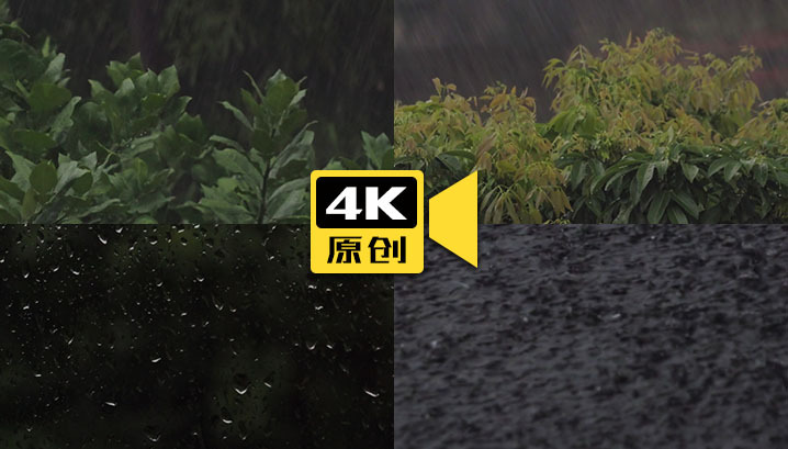 4K-南方雨季-实拍视频