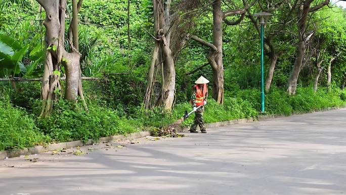 环卫工人扫马路50帧