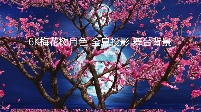 6K夜景月亮梅花树餐厅投影