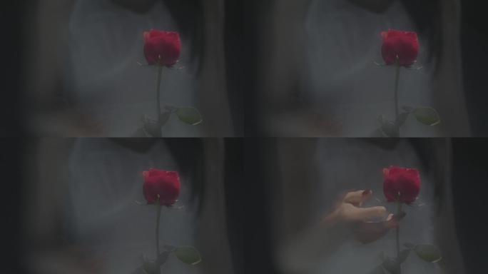 伸手触碰玫瑰