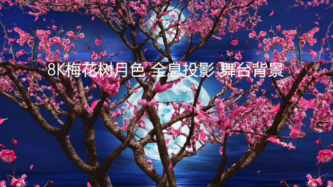 8K夜景月亮梅花树餐厅投影LED视频