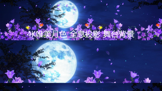 4K荷塘月色花之夜LED舞美