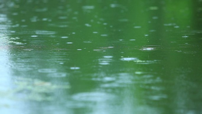 下雨视频素材雨滴落下湖面