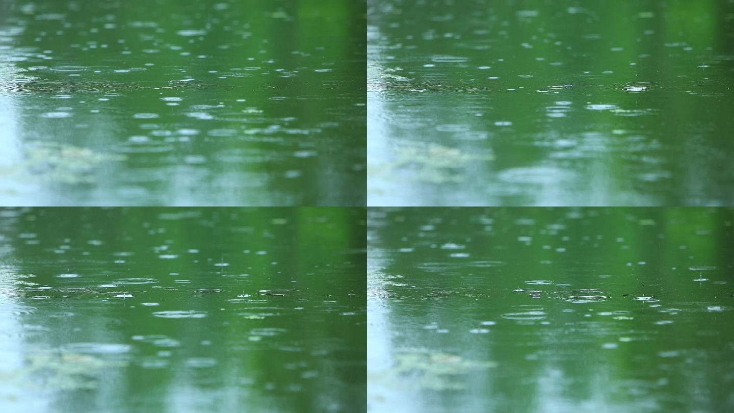 下雨视频素材雨滴落下湖面 19x1080 高清视频素材下载 编号 实拍视频 Vj师网www Vjshi Com