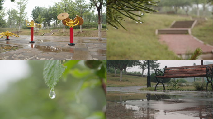 4k雨滴落在小草上、唯美雨滴、清新空气