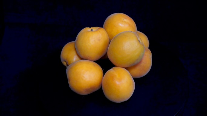 成熟的杏子实拍素材