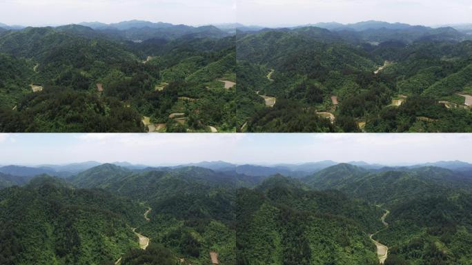 4K航拍贵州镇远秀地森林58秒2组