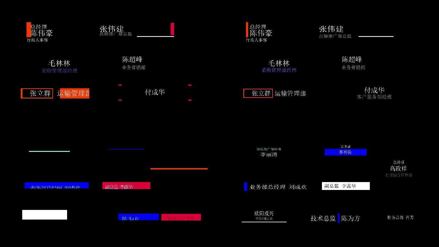 公司组织架构介绍动态字幕