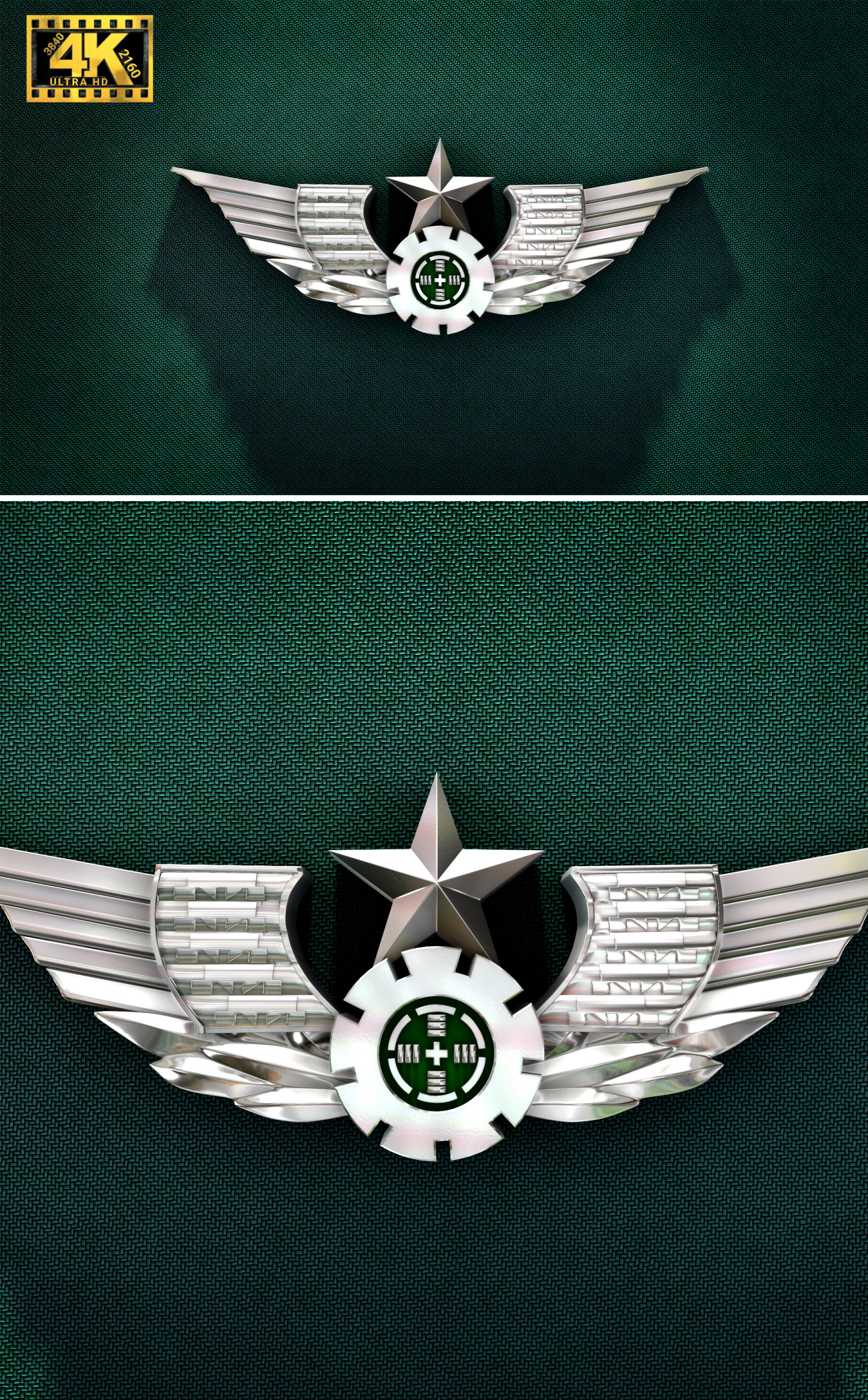 【4k】陆军标志流光