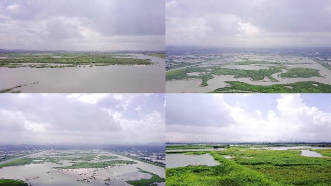 4k惠州潼湖湿地公园保护区航拍2