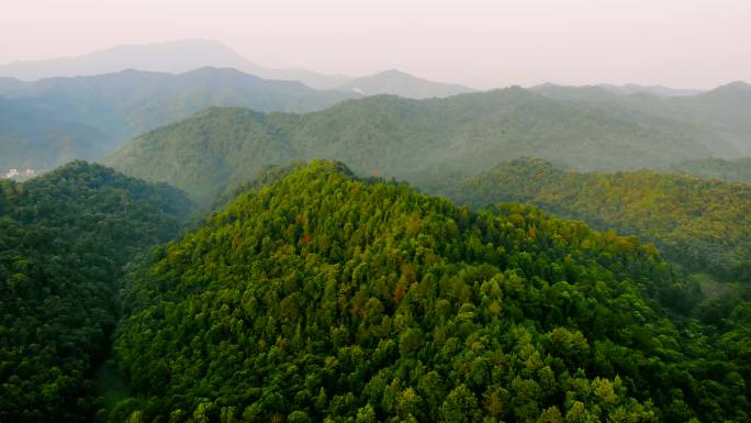 航拍森林 高山 绿色 森林 自然风光