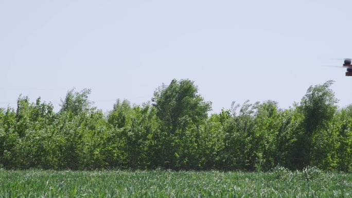 【原创】植保飞手