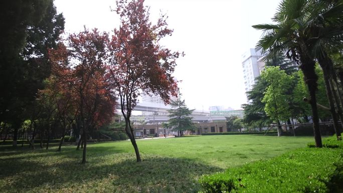 上海财经大学中山北路校区空景