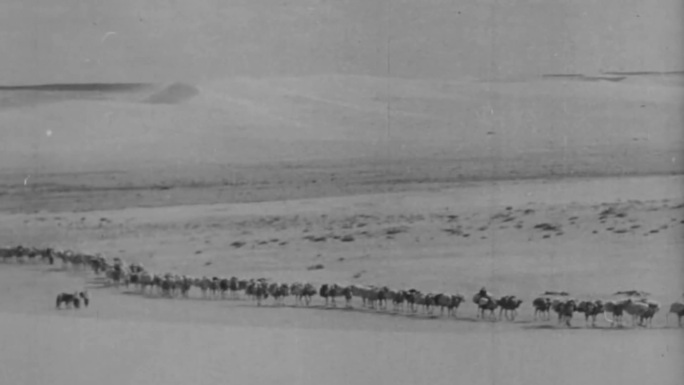 上世纪沙漠新疆驼队