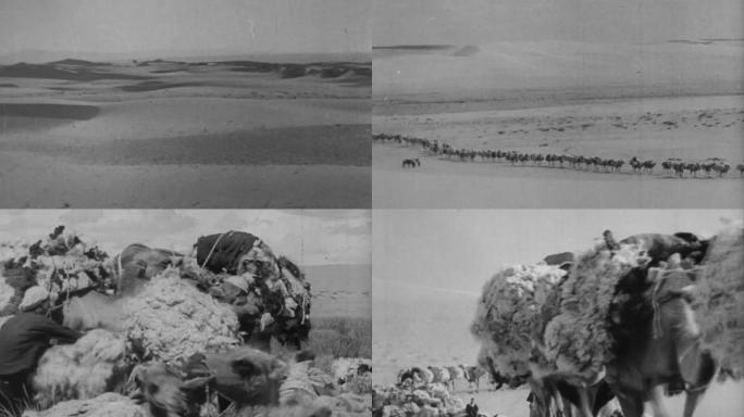 上世纪沙漠新疆驼队