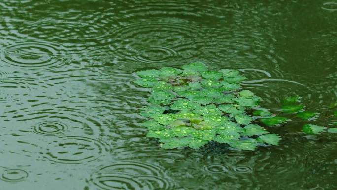 雨天