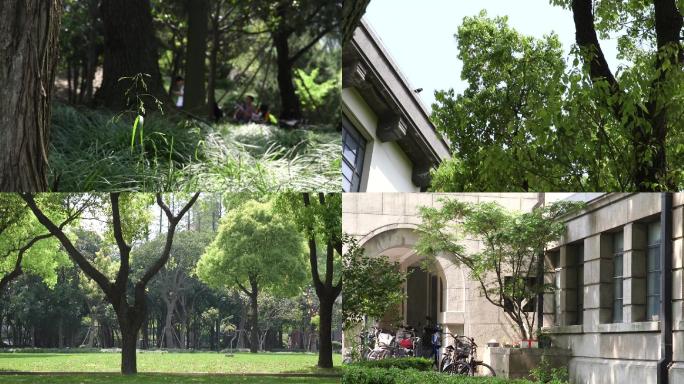 上海财经大学杨浦校区空景