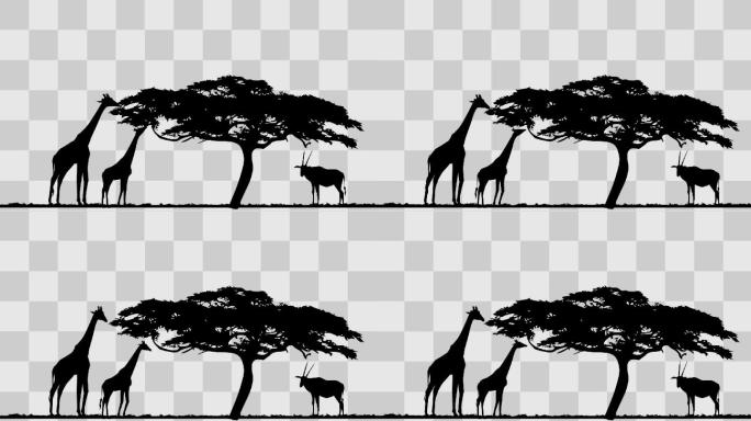 非洲草原鹿和羚羊剪影-含源文件-透明通道