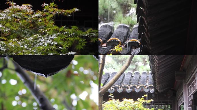 细雨古院落雨水幽静滴落水珠