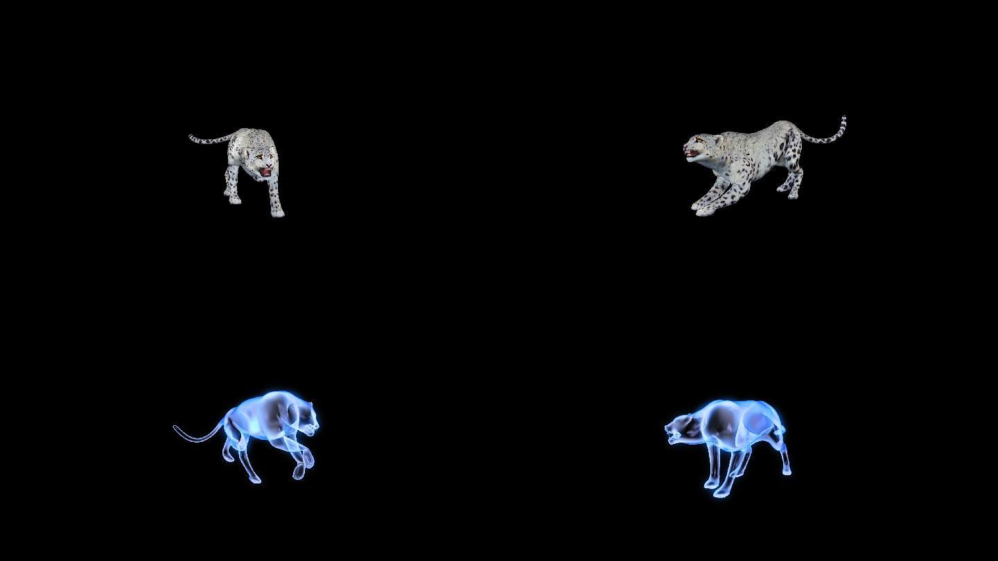 动物动画模型素材豹子