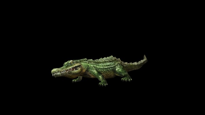 动物动画三维模型素材鳄鱼