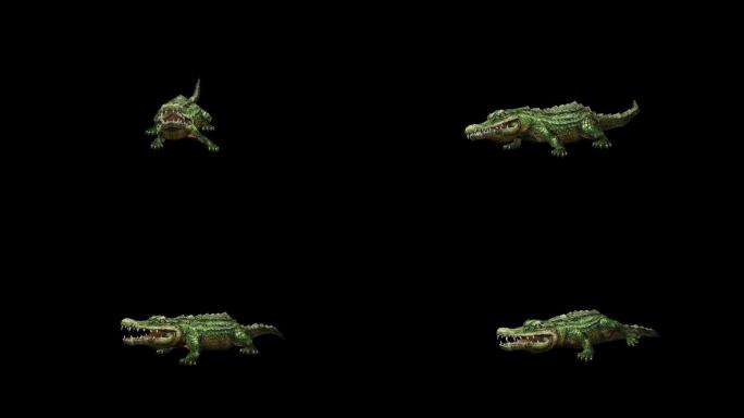 动物动画三维模型素材鳄鱼