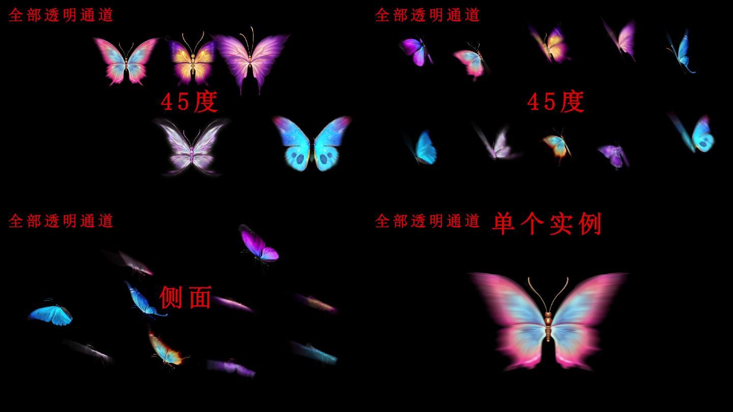 蝴蝶素材，蝴蝶视频素材，单个蝴蝶