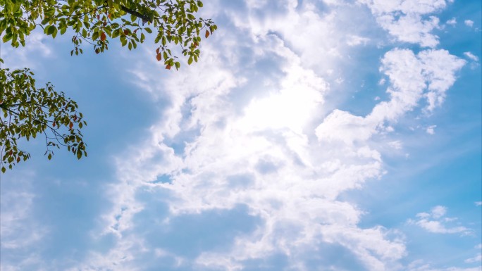 【4K】烈日当空、炎炎夏日