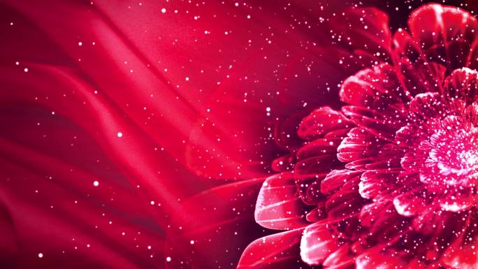4K红色花朵粒子视频-无缝循环