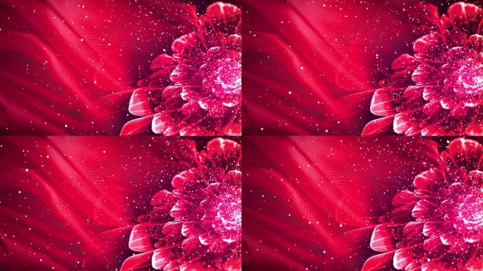 4K红色花朵粒子视频-无缝循环