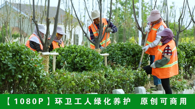 【1080P】环卫工人绿化养护种树