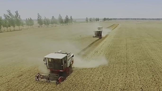 收割机-割麦子-收获-麦收季节