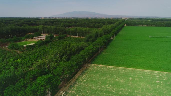 4K大荔现代科技畜牧养殖基地02