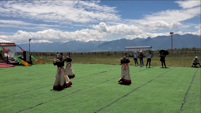 藏族舞蹈跳舞4k