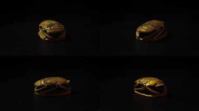 黄金甲虫