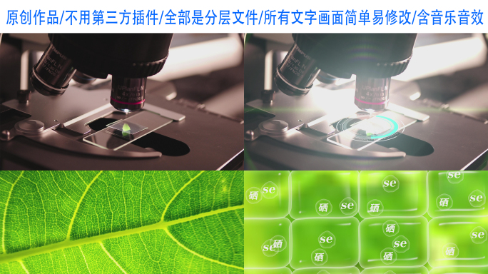 【4K无插件】植物中的硒元素