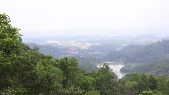 森林天空山树树林大气风景