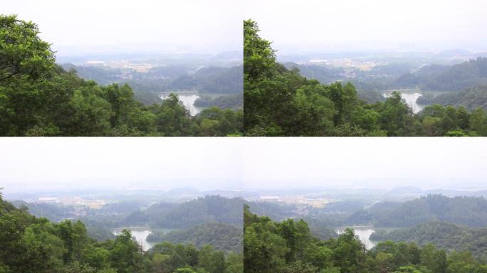 森林天空山树树林大气风景