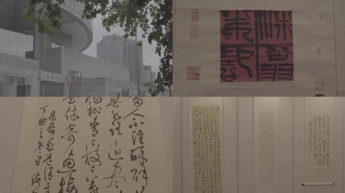 上海博物馆正门与字画展览