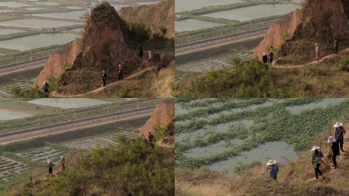 4K黄河湿地公园植树人清晨上工