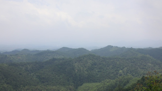 森林天空山树树林风景