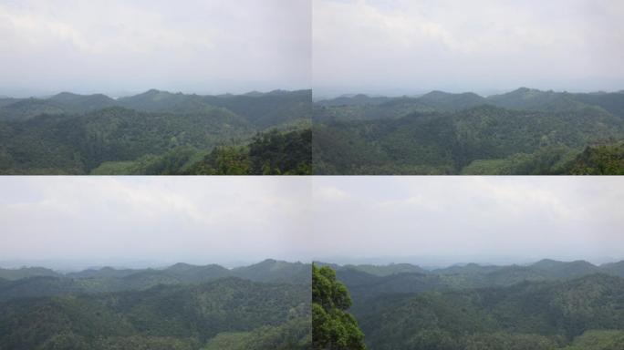 森林天空山树树林风景