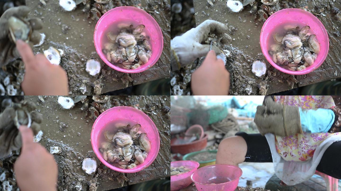 剥海蛎壳